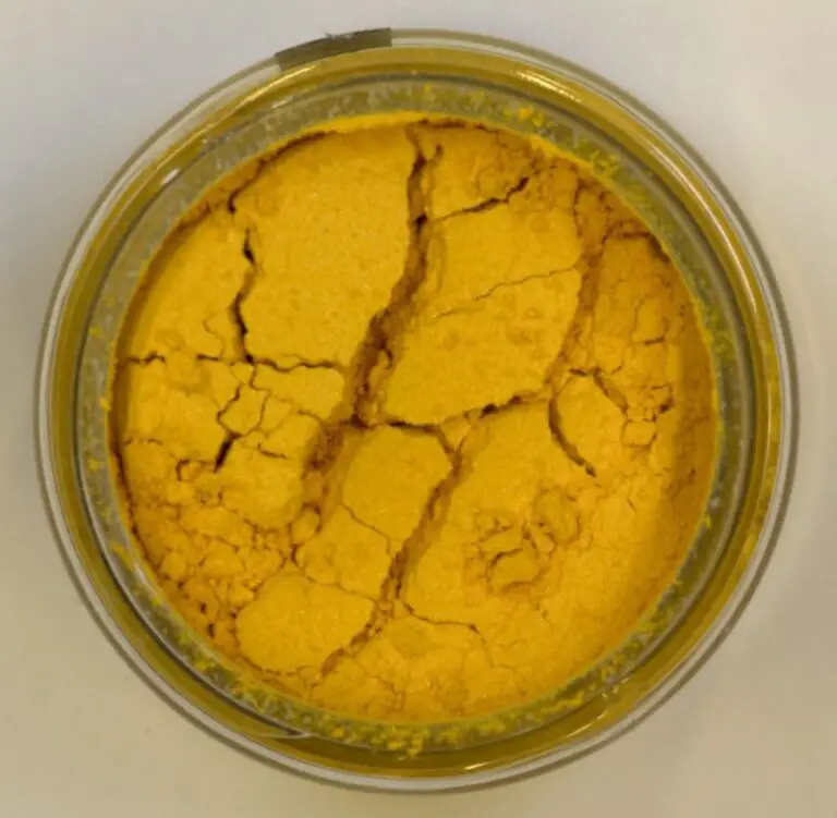 What Can I Do With Leftover Oil Paint? Sustain The Art