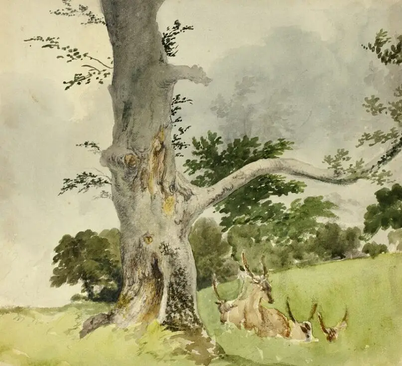 Family of Deer under a Tree watercolor example